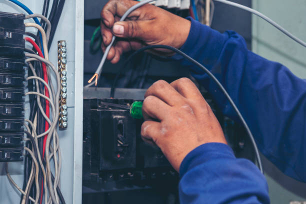 Best Industrial Electrical Services  in Spring Valley, IL