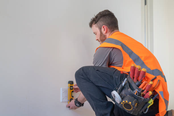 Best Affordable Electrician  in Spring Valley, IL