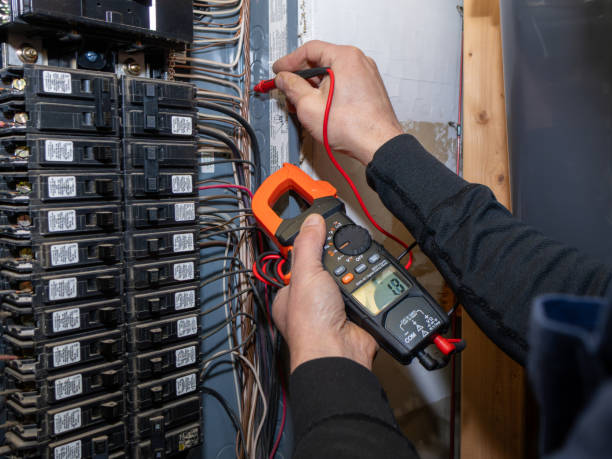 Best Ceiling Fan Installation Electrician  in Spring Valley, IL